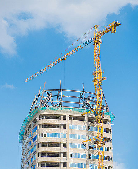 奇异果官网平台